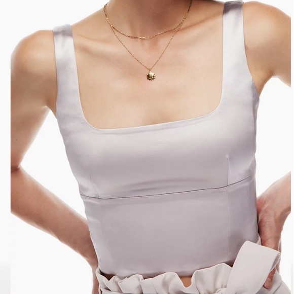 Aritzia Tops - Wilfrid Shine Bustier